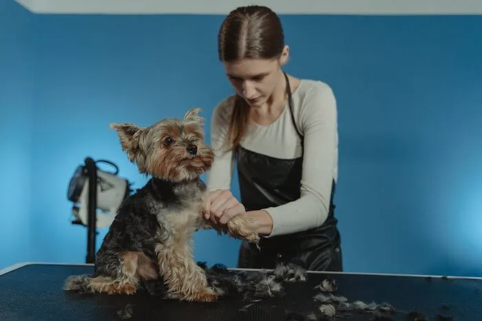 30 People Online Spill The Beans About Their High-Pay Jobs That They Do Without A Degree