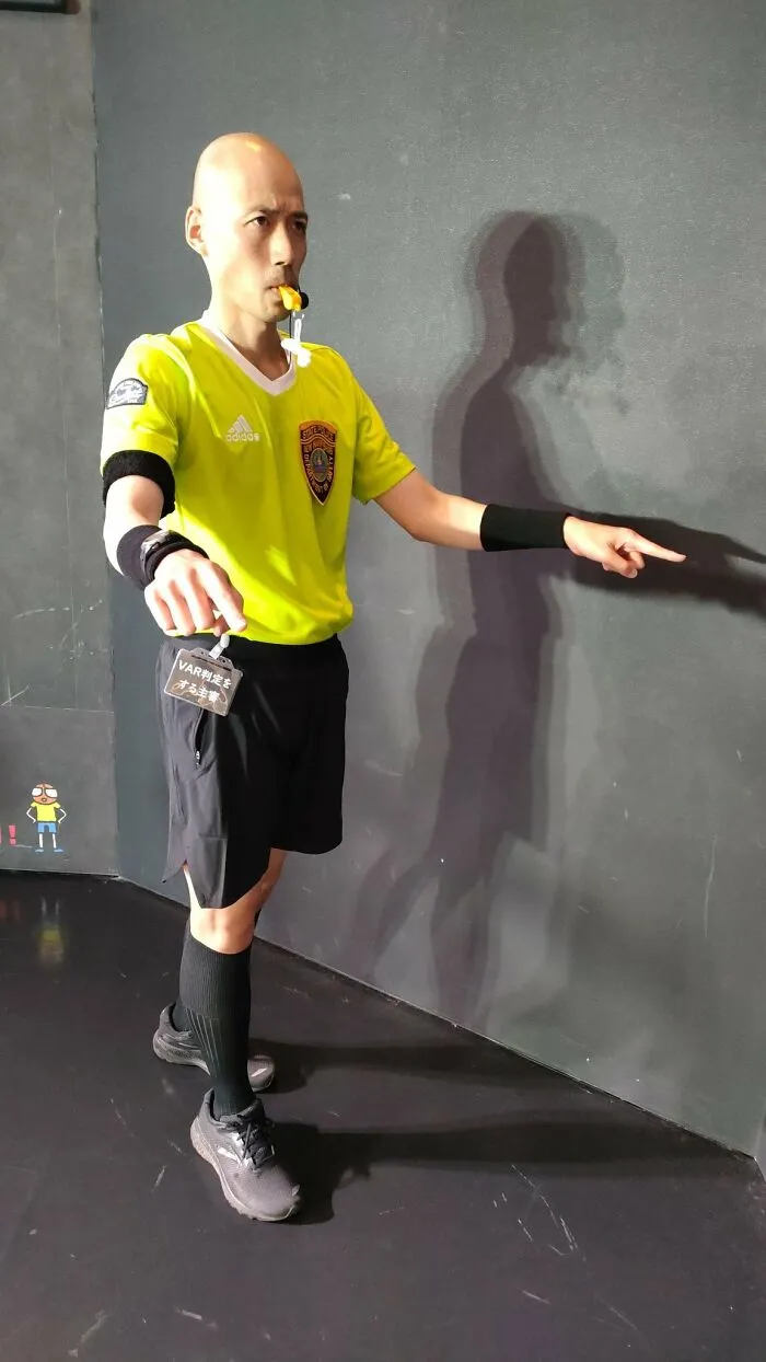 Referee Making Decisions