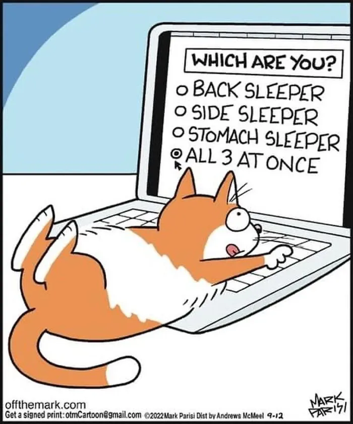 “Off The Mark”: 35 Hilarious Comics By Mark Parisi, Internet Edition