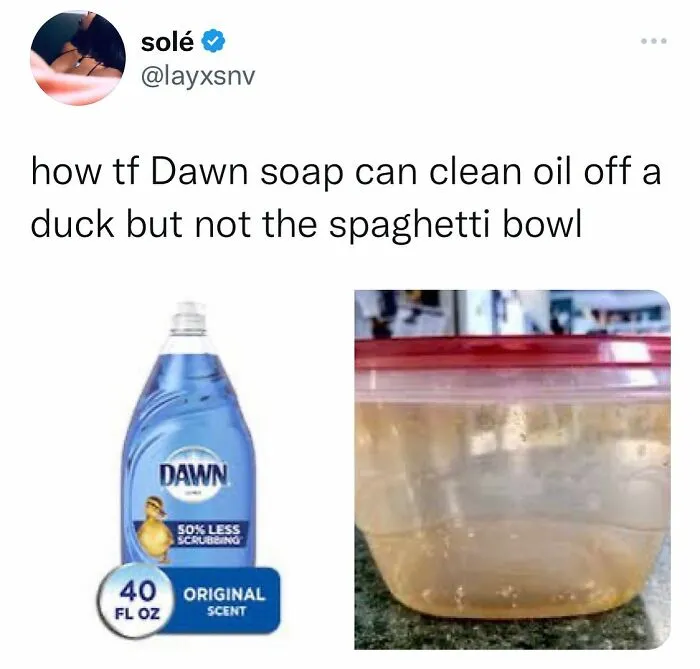 Funny-Random-Memes-Jokes