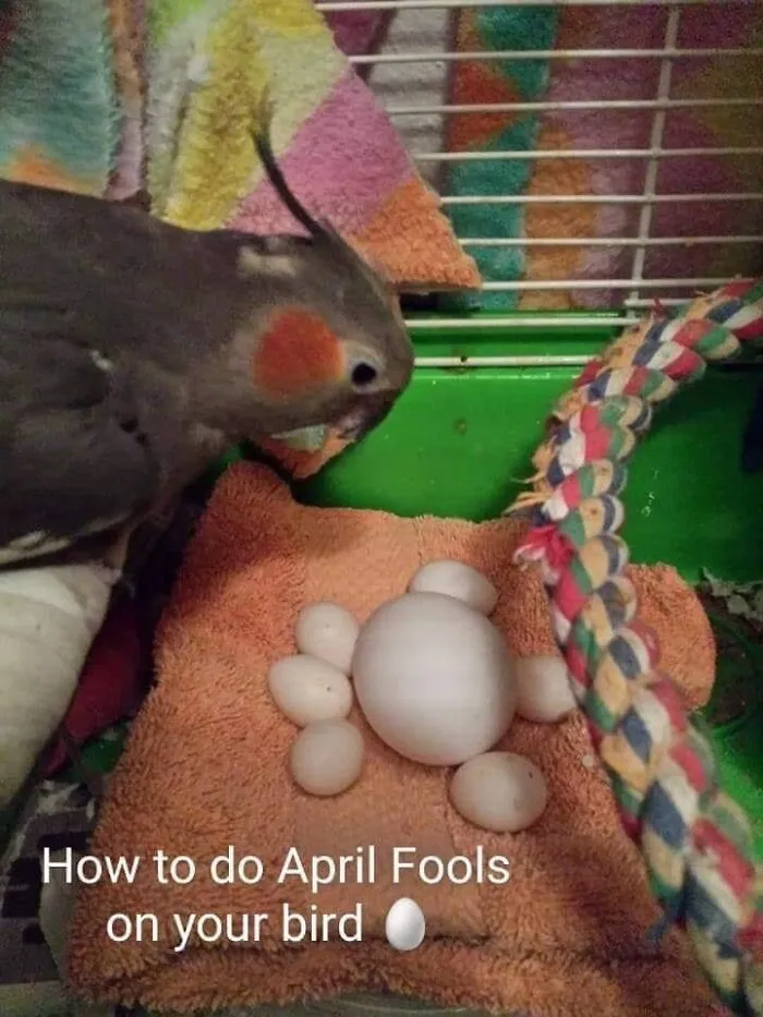 35 Images For Those Venturing Beyond The Blessings Of The Internet