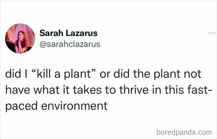 50 Memes To Help You Cope With Life Through Sarcasm, Courtesy Of This IG Page