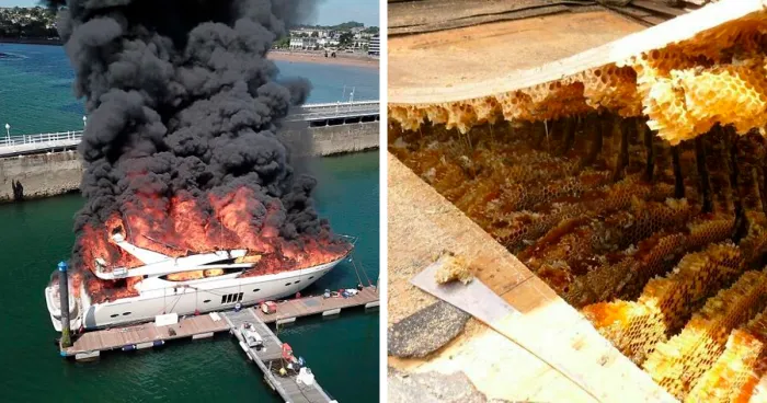 People Are Posting Really Expensive Fails And Accidents, Here Are 30 That Hurt To Watch
