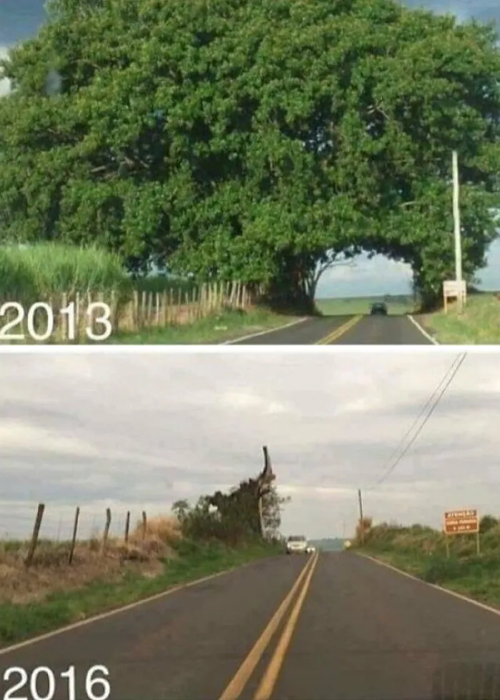 This X Page Is Sharing ‘Then And Now’ Pics, Here Are 50 Of The Most Interesting Ones