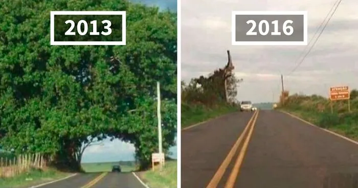 This X Page Is Sharing ‘Then And Now’ Pics, Here Are 50 Of The Most Interesting Ones