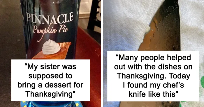 50 People Who Had A Terrible Time During Thanksgiving (New Pics)