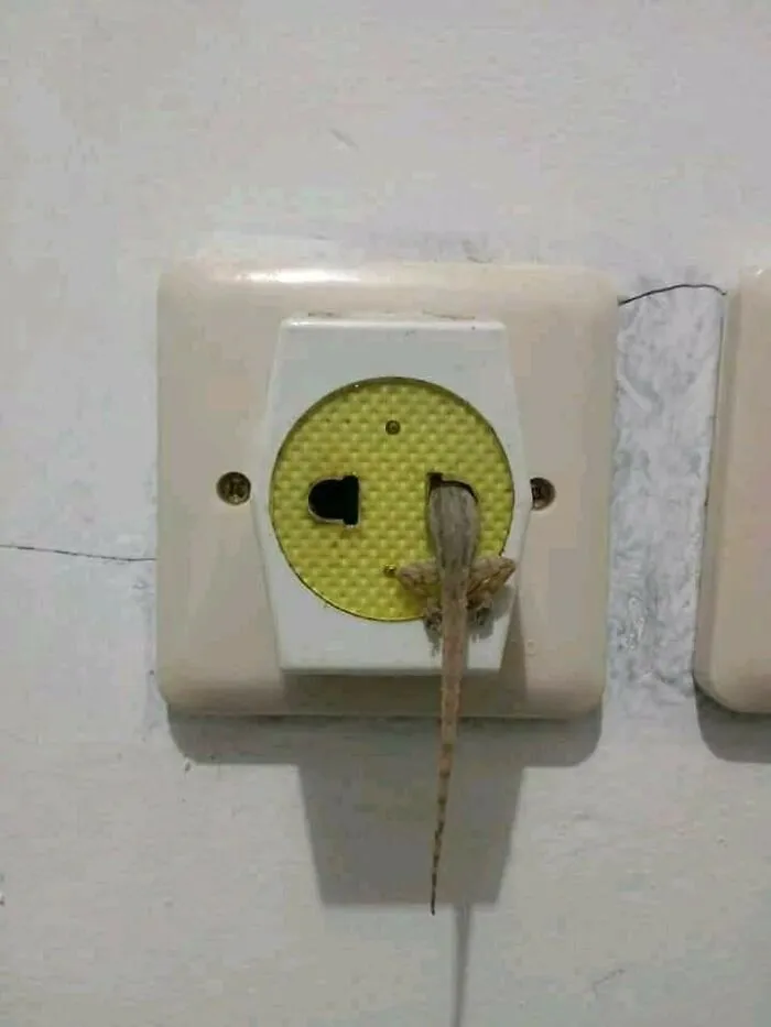 Unfortunate-Events-Pics