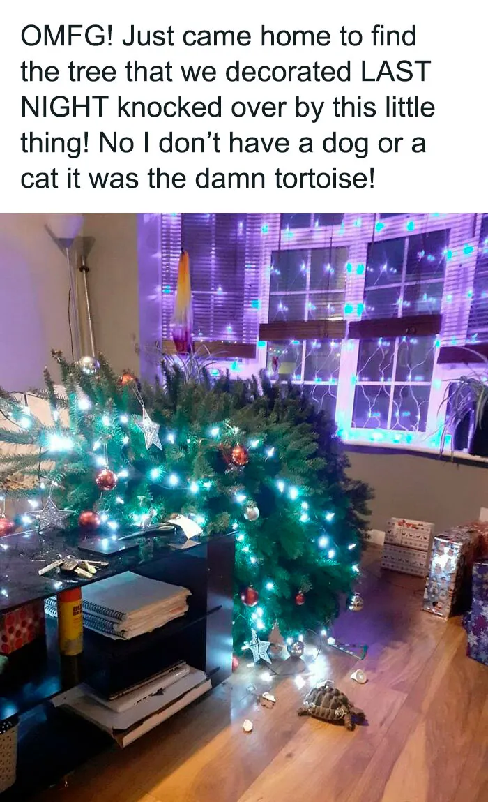 50 Pics Of People Having A Worse Day Than You, As Shared On This Facebook Page