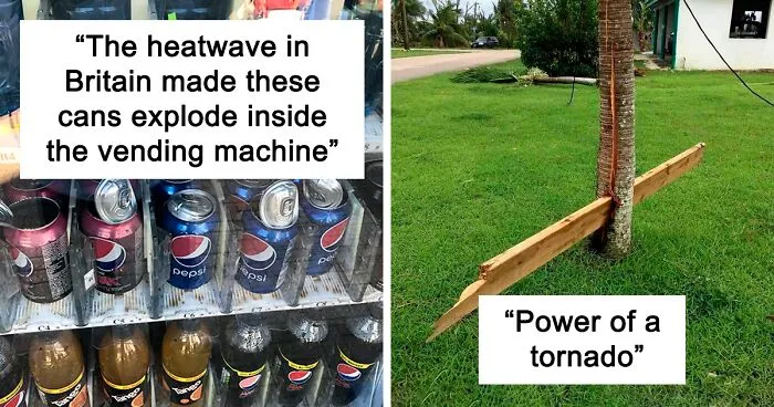 50 Crazy Pics Of Mother Nature Doing Things On Its Own Terms (New Pics)