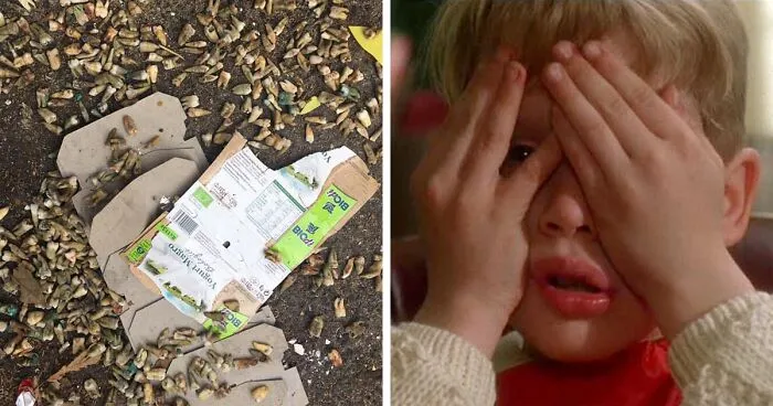 33 Images Of Most Creepy Things People Have Came In Contact In Their Daily Lives