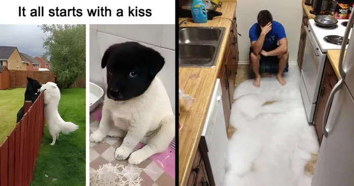 This Page Shares The Most Random And Entertaining Pics, And Here's 30 Of The Best