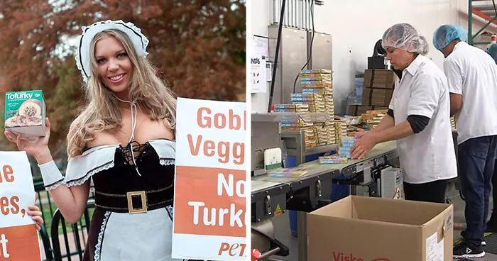 People Disgusted By Clip Showing How Vegan Turkey Or “Tofurky” Is Made In The US