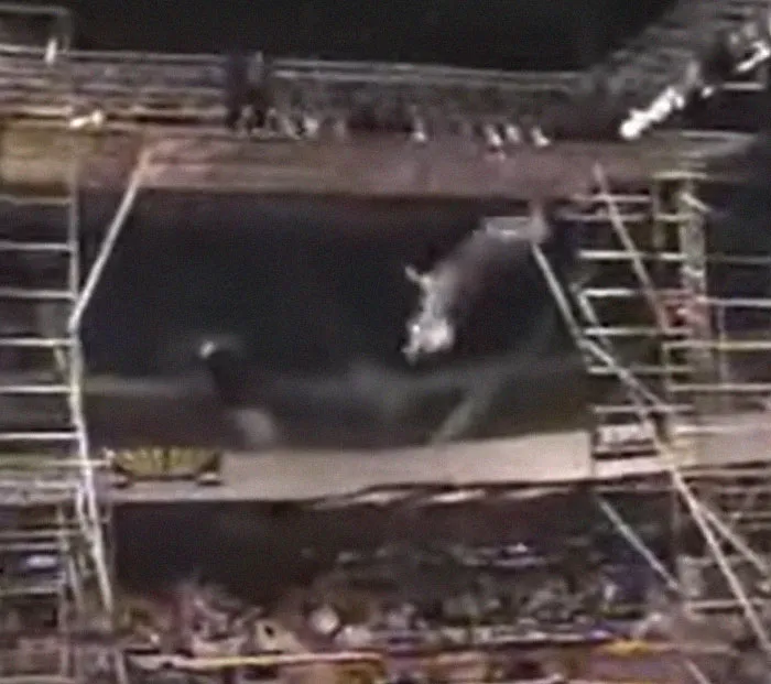 “Bonkers That Would Ever Happen”: 29 Live TV Moments People Just Can’t Forget