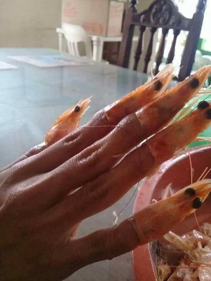 “Meals With Threatening Auras”: 35 Images Of Bizarre Foods We Wish We Could Unsee