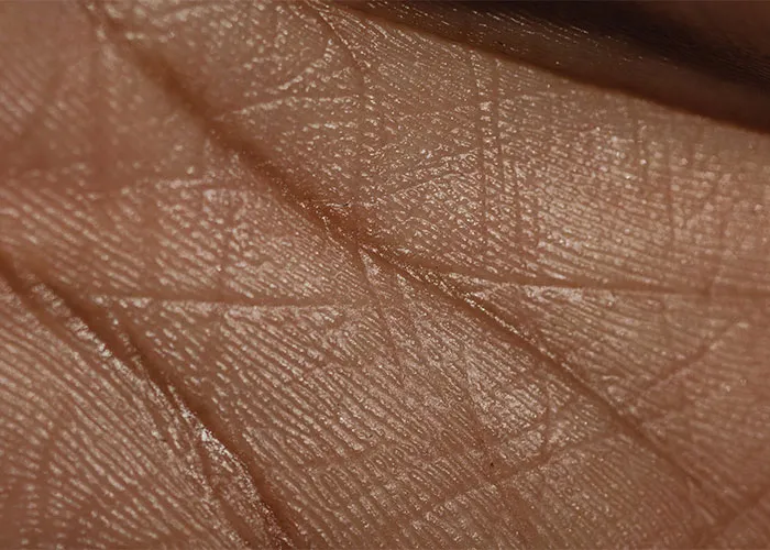 Lines That Tell Stories
