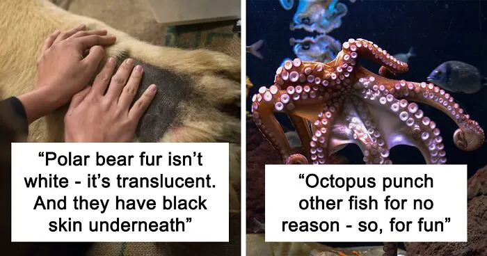 28 People Share The Weirdest Animal Facts They Know