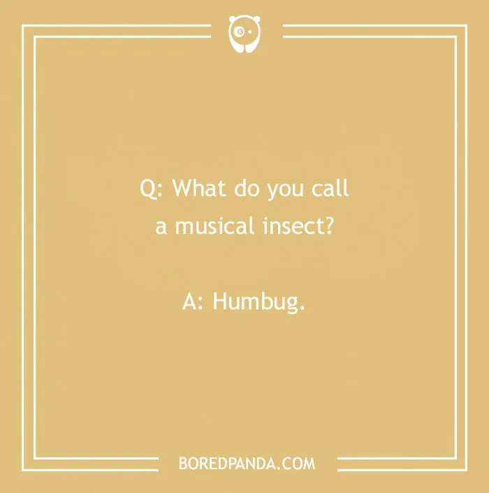 A funny "What do you call?" joke about a musical insect on a beige background.