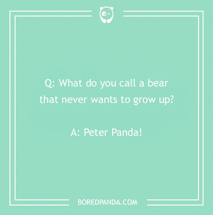 "What do you call" joke with a funny punchline, featuring a question about a bear.