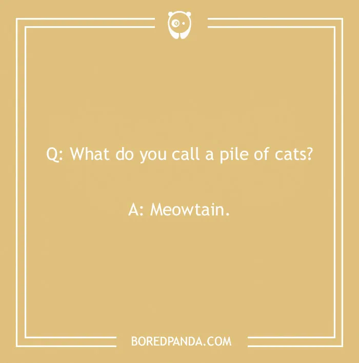 Funny 'what do you call' joke about a pile of cats, punchline: Meowtain.