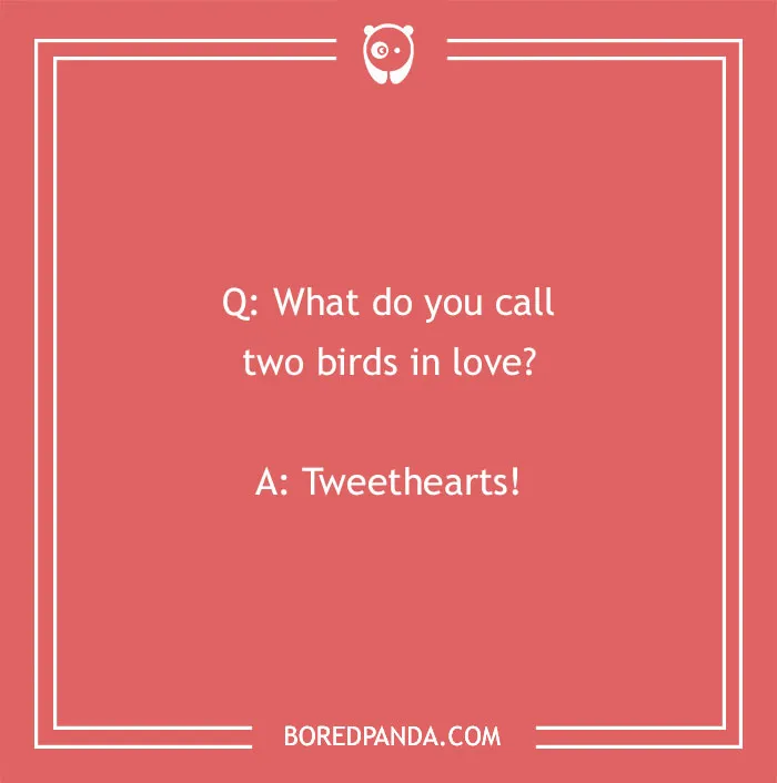 "Funny 'What Do You Call?' joke about two birds in love with the punchline 'Tweethearts' on a coral background."