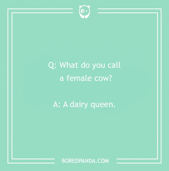 Funny 'What Do You Call?' joke on a green background: "What do you call a female cow? A dairy queen."