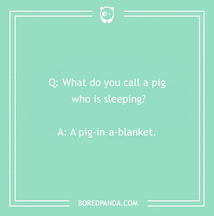 Funniest joke text: "What do you call a pig who is sleeping? A pig-in-a-blanket."
