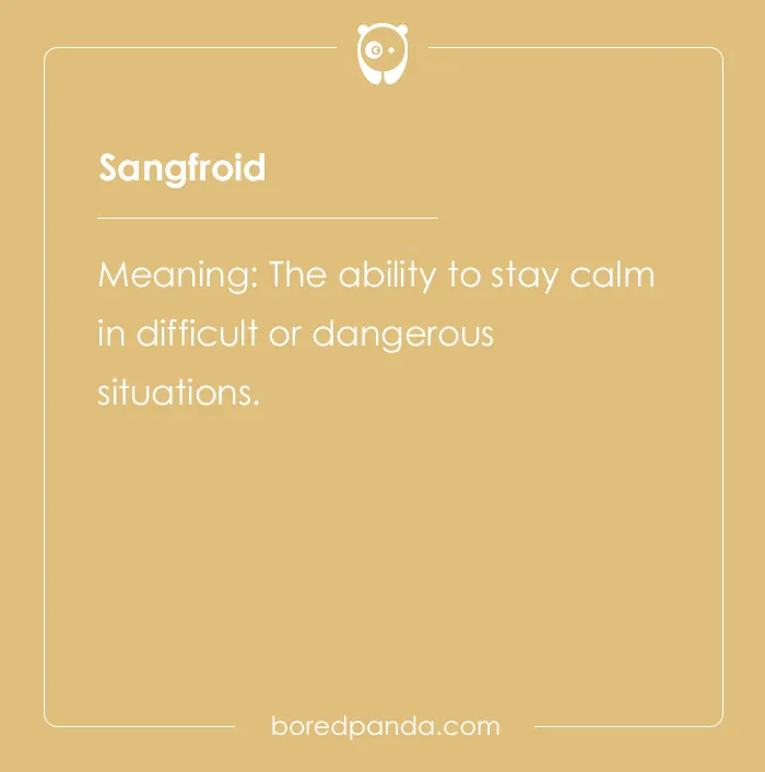 65 Cool Words You May Have Never Heard Of And Their Meanings