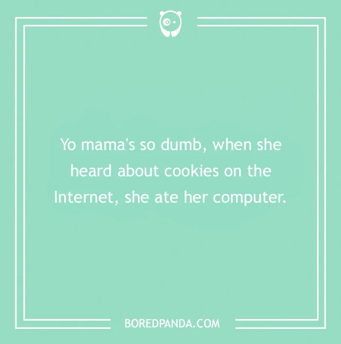 Text on humorous image about "Yo Mama" jokes, mentioning internet cookies and computer.