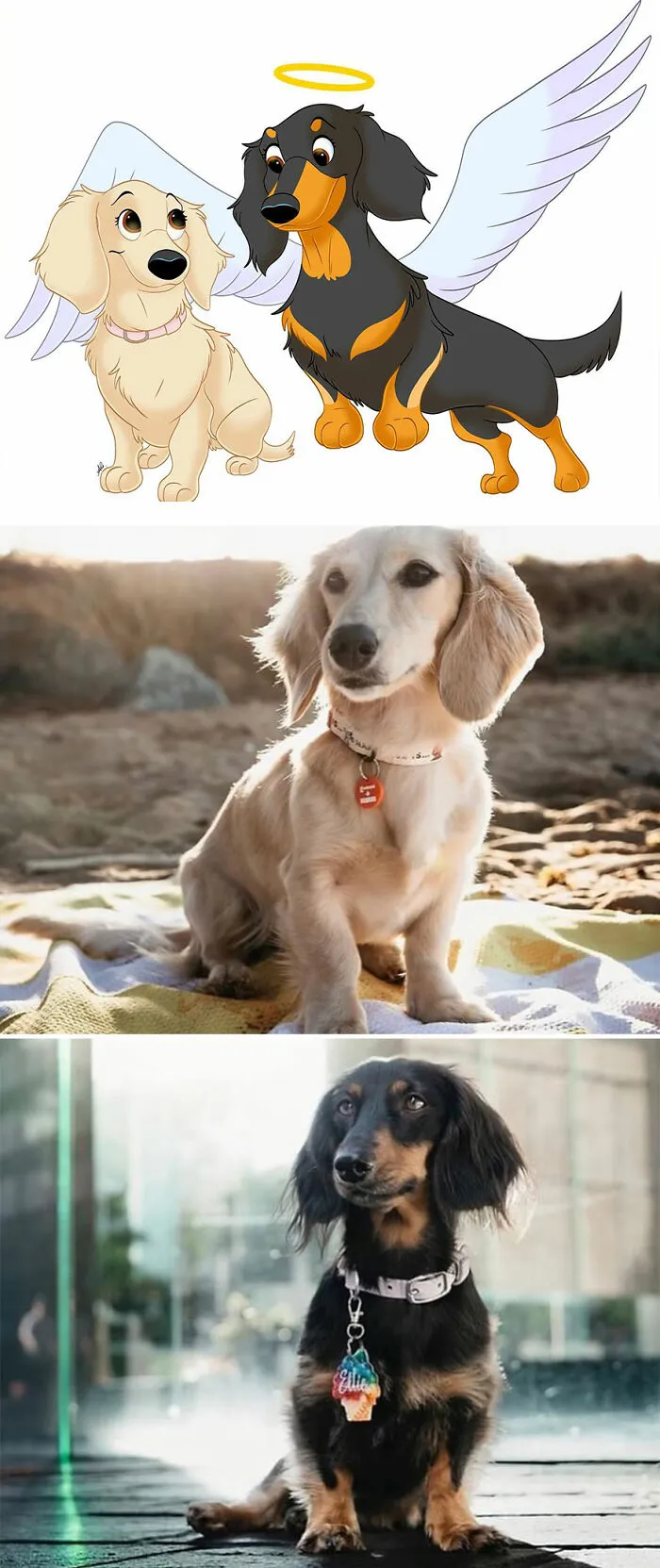Artist Creates Cute Pet Portraits That Turn Them Into Disney Movie Characters (22 New Pics)