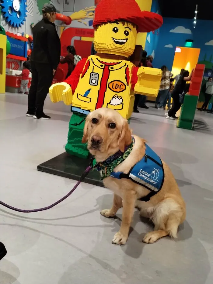 Arizona Likes Legoland, Too