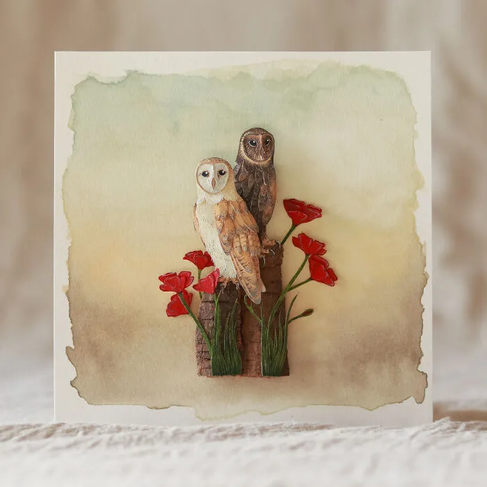 Barn Owl