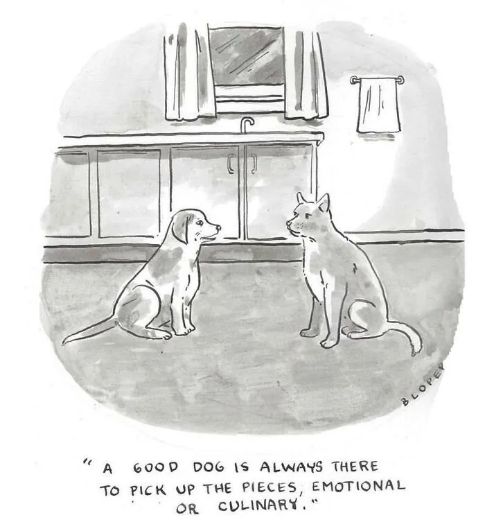 40 Cartoons Showcasing The Brutal Truths About Modern Society By The Artist Brendan Loper
