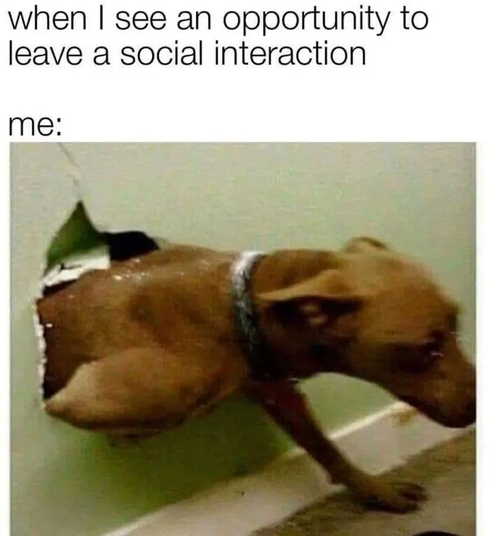 Dog breaking through a wall with text about leaving social interaction, perfect funny meme for socially awkward friends.