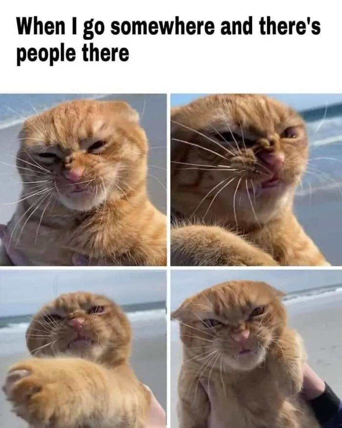 50 Funny And Relatable Memes To Send To Your Socially Awkward Friends