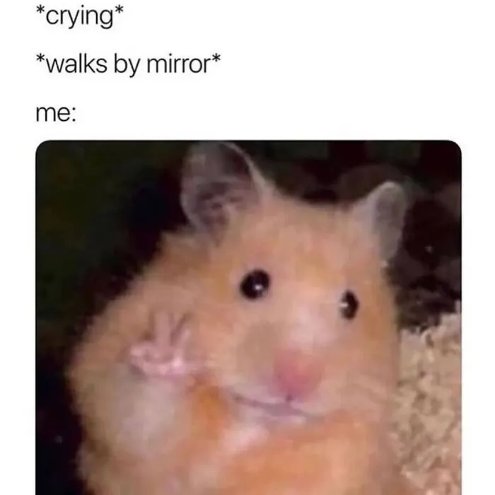 Cute hamster flashing a peace sign, relatable meme humor for socially awkward friends.