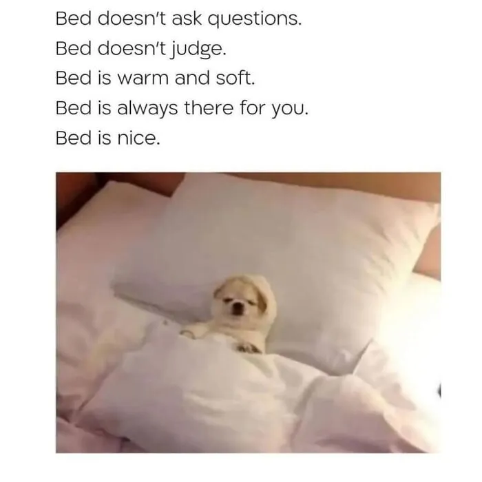 50 Funny And Relatable Memes To Send To Your Socially Awkward Friends