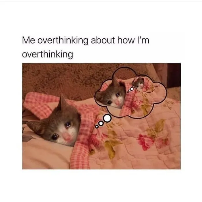 Cute cat under a blanket overthinking, reflecting a funny and relatable meme.