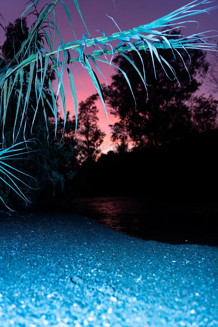 Pink Skies