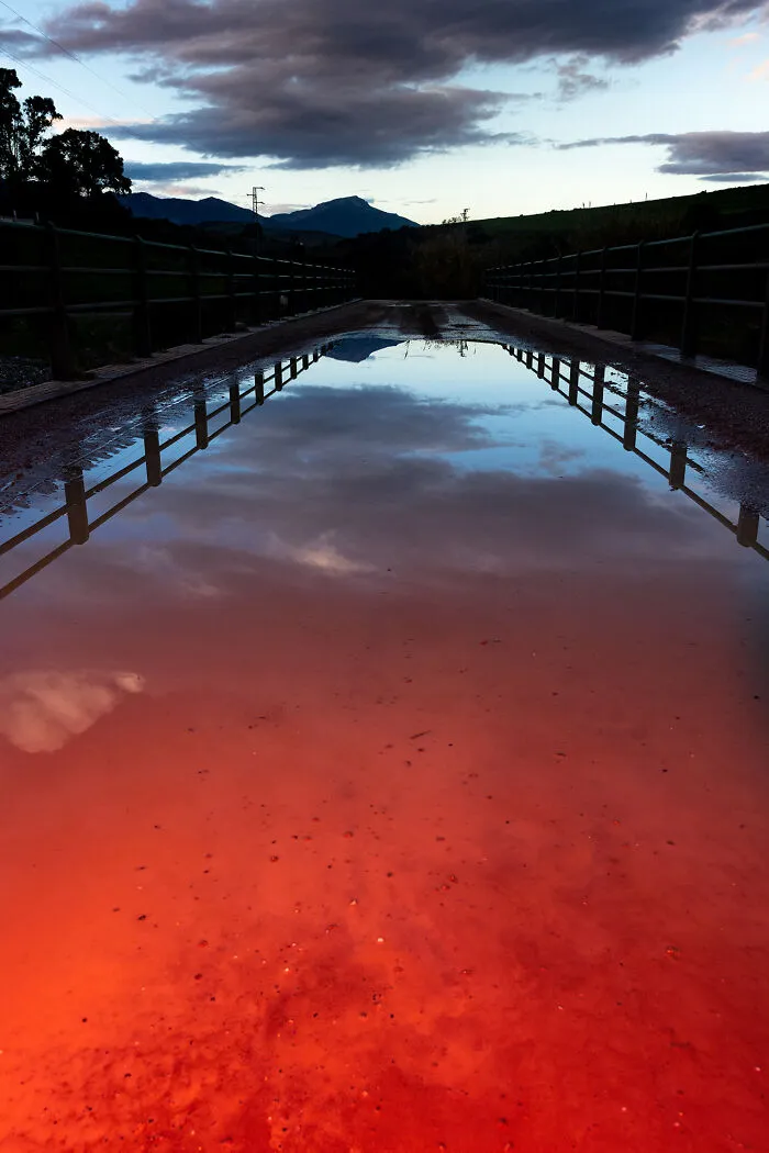 Bridge Reflection