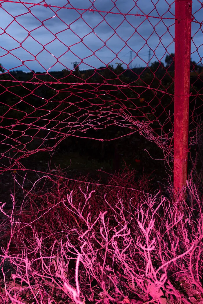 Broken Fence