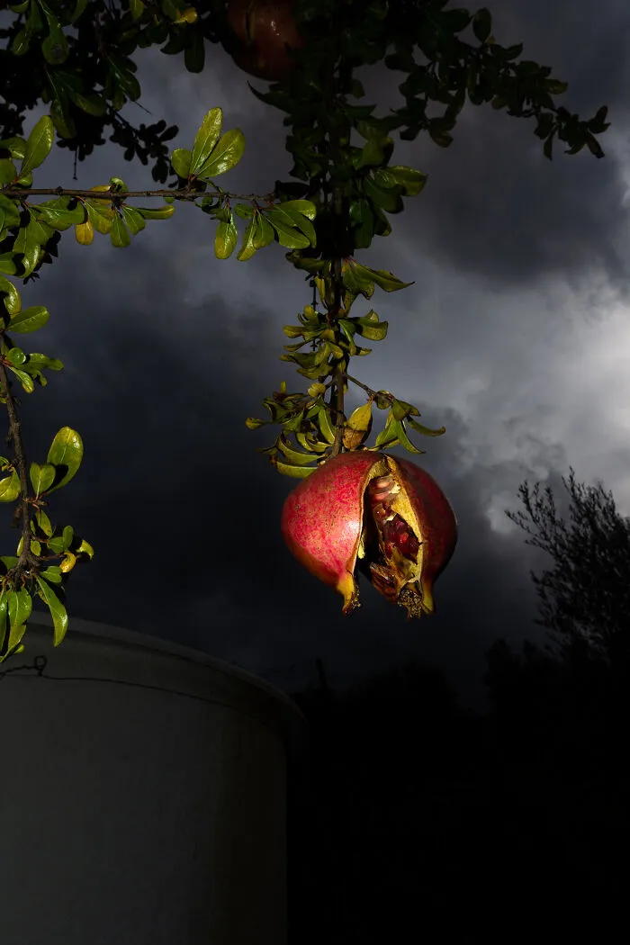 Low Hanging Fruit