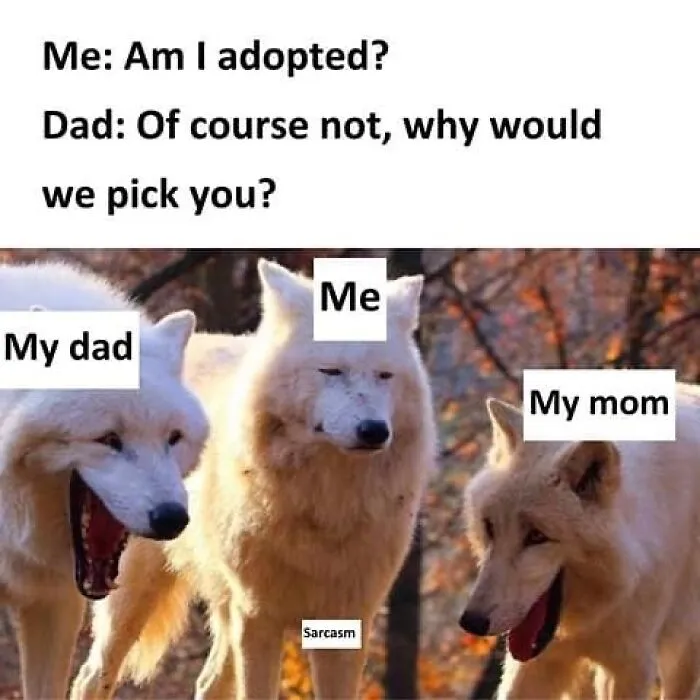 50 Hilariously Relatable Memes Shared On The 'Sarcasm Only' Instagram Account (New Pics)