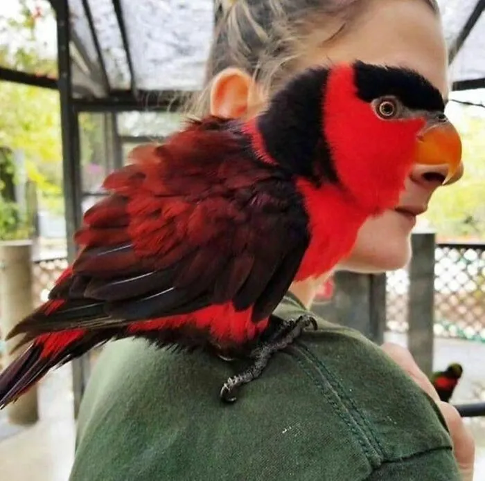 "I Am Cringe, But I Am Free": 50 Hilarious Yet Confusing Images