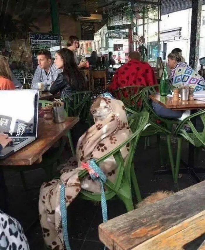 "I Am Cringe, But I Am Free": 50 Hilarious Yet Confusing Images