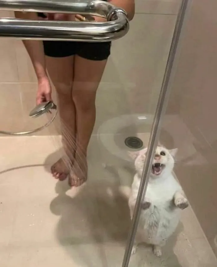 "I Am Cringe, But I Am Free": 50 Hilarious Yet Confusing Images