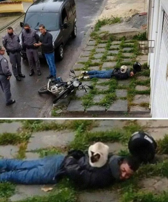 "I Am Cringe, But I Am Free": 50 Hilarious Yet Confusing Images