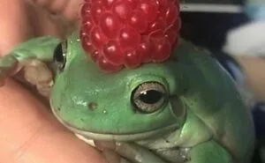 "I Am Cringe, But I Am Free": 50 Hilarious Yet Confusing Images