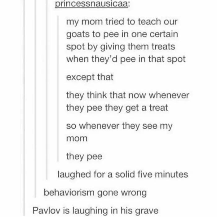 50 Painfully Funny Memes And Jokes That You Might Relate To All Too Well