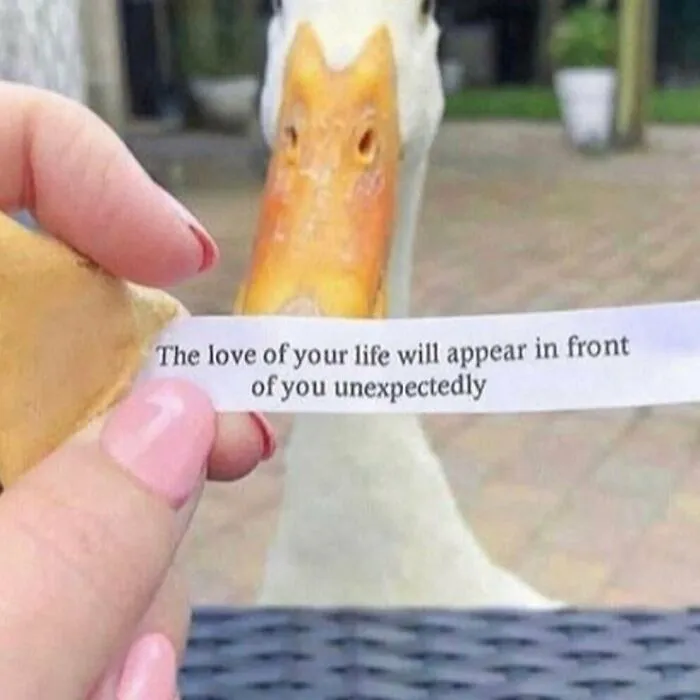 50 Hilarious, Confusing And Unsettling Pics From “I Would Prefer Not To” (New Pics)