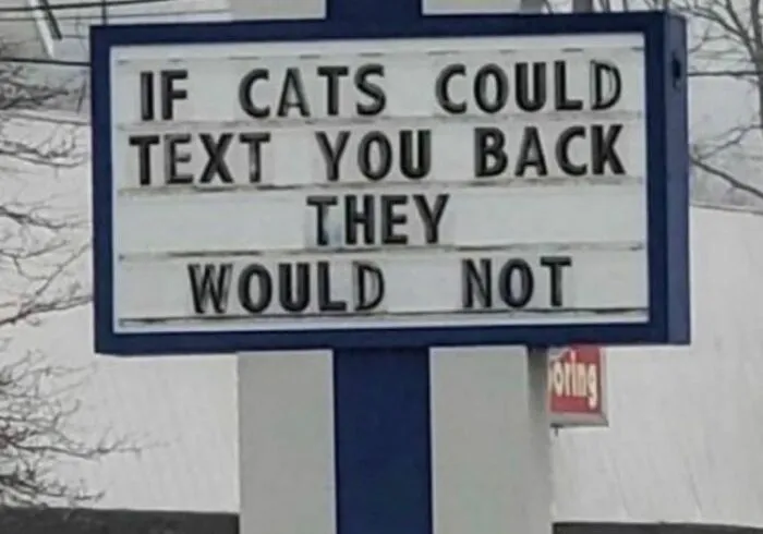 50 Hilarious, Confusing And Unsettling Pics From “I Would Prefer Not To” (New Pics)